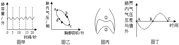 菁優(yōu)網(wǎng)