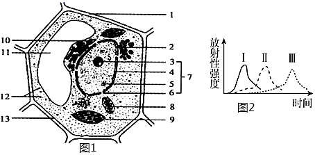 菁優(yōu)網