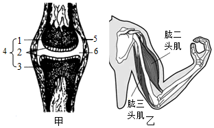 菁優(yōu)網