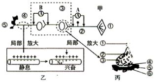 菁優(yōu)網(wǎng)