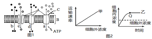 菁優(yōu)網