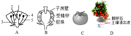 菁優(yōu)網(wǎng)