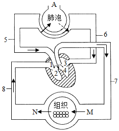 菁優(yōu)網(wǎng)