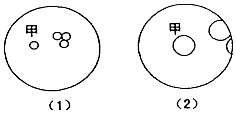 菁優(yōu)網(wǎng)