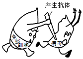 菁優(yōu)網(wǎng)