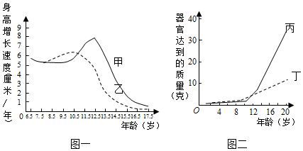 菁優(yōu)網