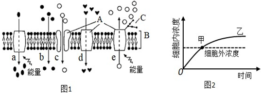 菁優(yōu)網(wǎng)