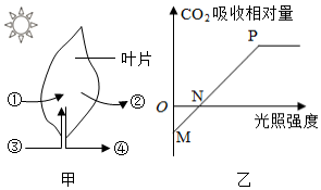 菁優(yōu)網(wǎng)