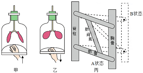 菁優(yōu)網(wǎng)