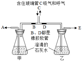 菁優(yōu)網