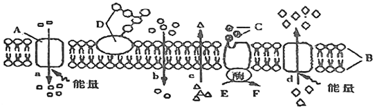 菁優(yōu)網(wǎng)