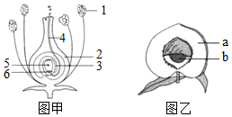 菁優(yōu)網(wǎng)