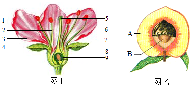 菁優(yōu)網(wǎng)