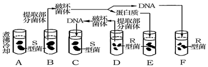 菁優(yōu)網