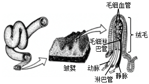 菁優(yōu)網(wǎng)