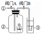 菁優(yōu)網(wǎng)