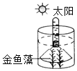 菁優(yōu)網(wǎng)