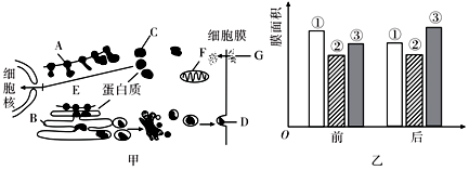 菁優(yōu)網(wǎng)