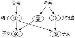 菁優(yōu)網