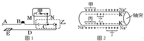 菁優(yōu)網(wǎng)