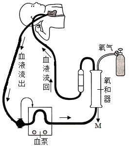 菁優(yōu)網(wǎng)