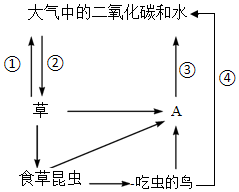 菁優(yōu)網(wǎng)