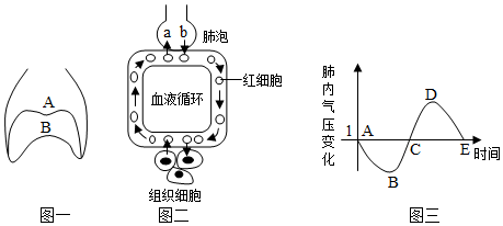 菁優(yōu)網