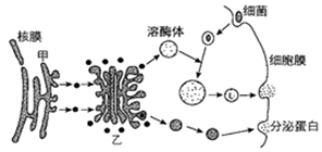 菁優(yōu)網(wǎng)