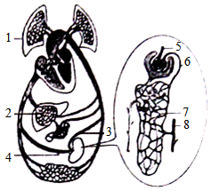 菁優(yōu)網(wǎng)