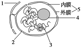 菁優(yōu)網