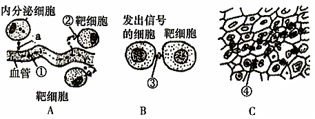 菁優(yōu)網