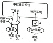 菁優(yōu)網(wǎng)