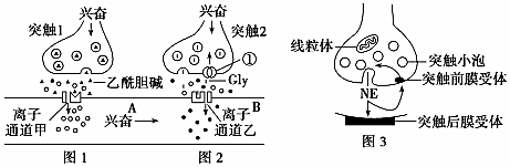 菁優(yōu)網(wǎng)