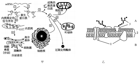 菁優(yōu)網(wǎng)