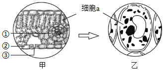 菁優(yōu)網(wǎng)