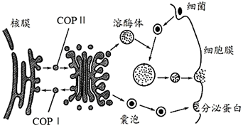 菁優(yōu)網(wǎng)