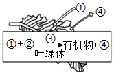 菁優(yōu)網(wǎng)