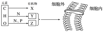 菁優(yōu)網(wǎng)