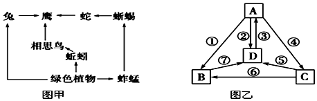 菁優(yōu)網(wǎng)