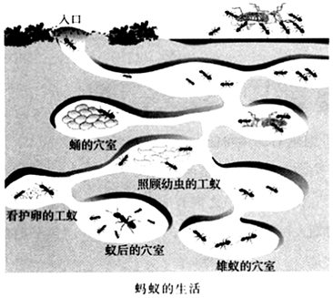 菁優(yōu)網