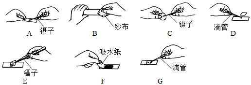 菁優(yōu)網(wǎng)