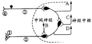 菁優(yōu)網