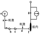 菁優(yōu)網(wǎng)