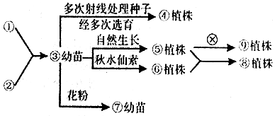 菁優(yōu)網(wǎng)