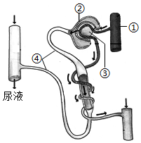 菁優(yōu)網(wǎng)