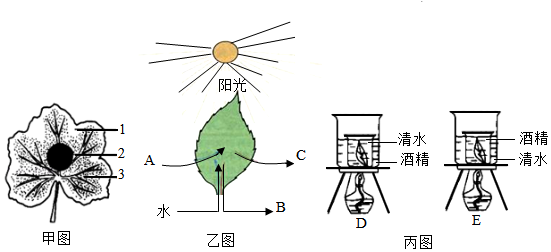 菁優(yōu)網