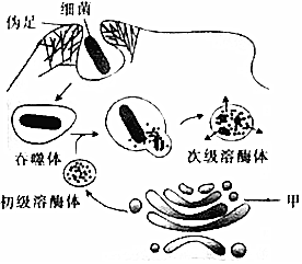 菁優(yōu)網(wǎng)