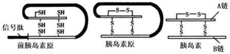 菁優(yōu)網