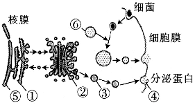 菁優(yōu)網(wǎng)