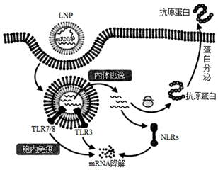 菁優(yōu)網